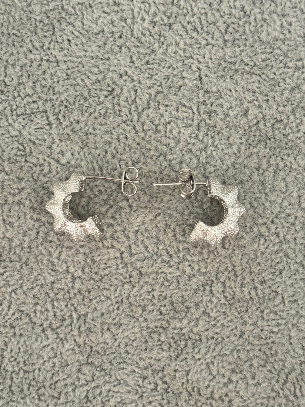 Zarcillos plateados